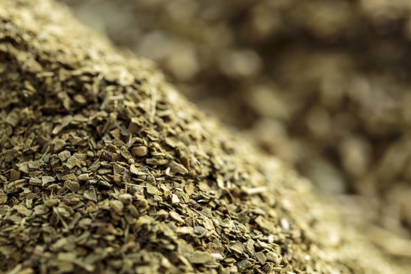 What are the differences between green tea and mate tea?